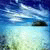 !_Dimmecebriext's Avatar